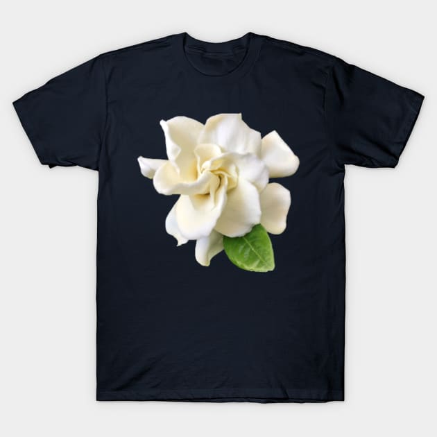 Gardenia Close-up T-Shirt by InalterataArt